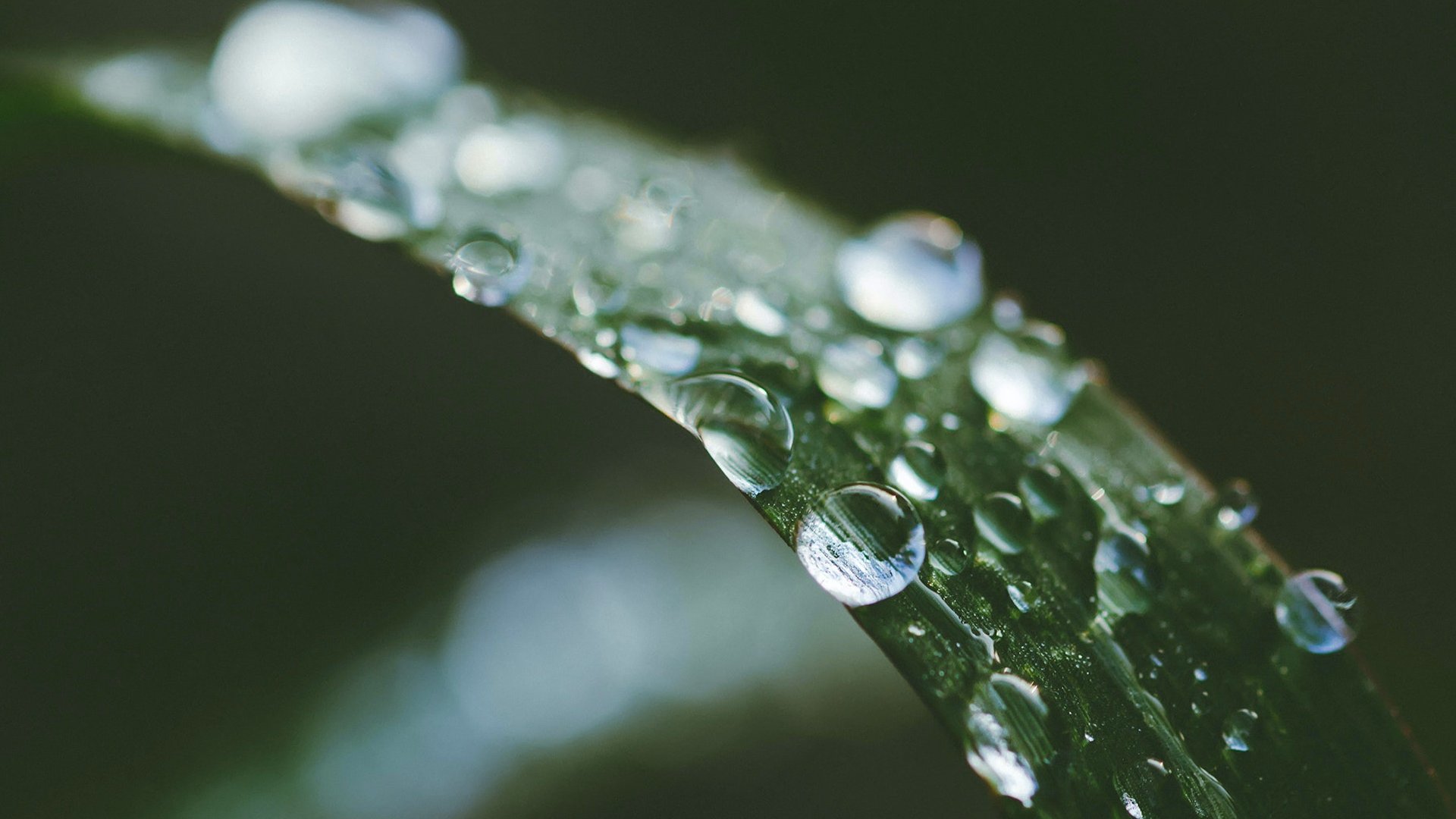 What is a dew point? | Viessmann US